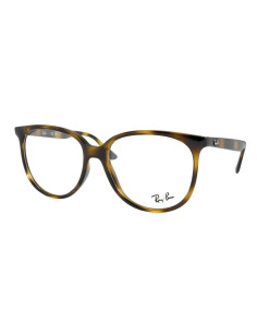 Ray-Ban RB4378V 54/16