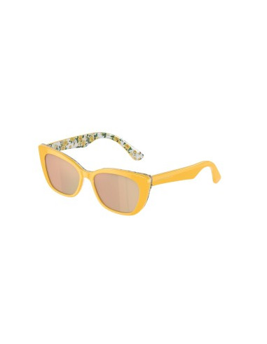 Dolce & Gabbana DG-4427 49/15