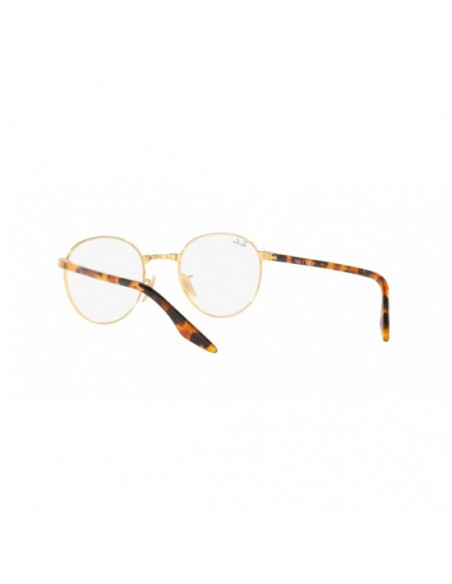 Ray-Ban RB3691-V 50/21